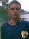Stoinesi